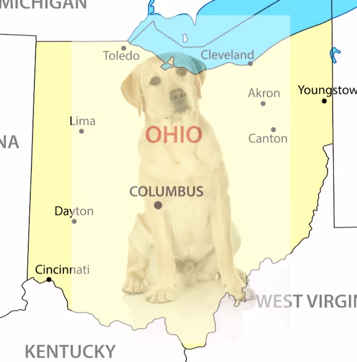Ohio, Labrador Retriever,meme, Can't Even X in Ohio, state dog