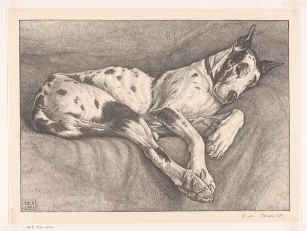 Kammerhunde,Great Dane, Englische Dock, Leibhunde, Uradel, Briefadel, German nobility