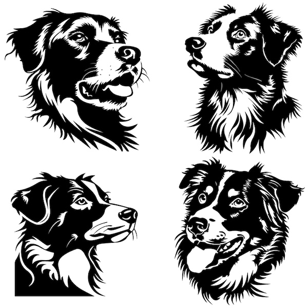 Border Collie, Old Hemp, Northumbrian, Wiston Cap, Whitehope Nap, Herdman’s Tommy,