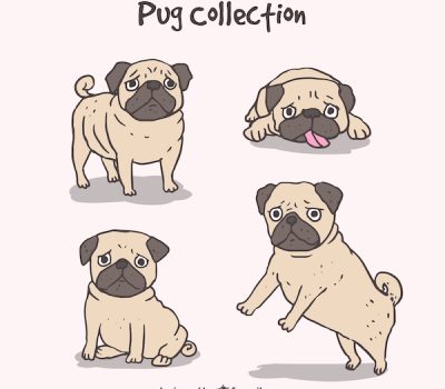 Pug, Victoria Roberts, After the Fall,