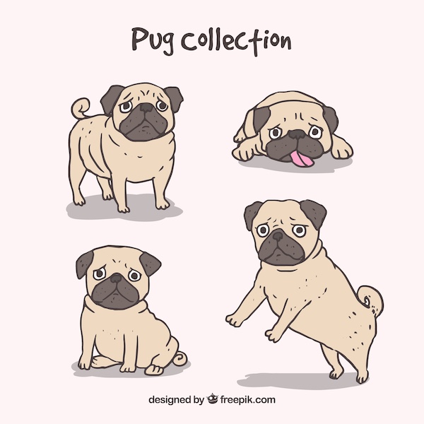 Pug, Victoria Roberts, After the Fall,