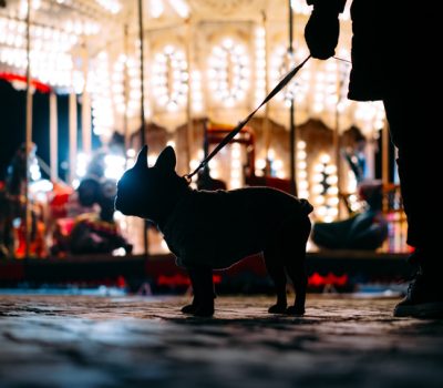 collectable, merry go round, carousel, 