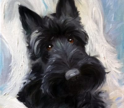 Scottish Terrier, gait, structure
