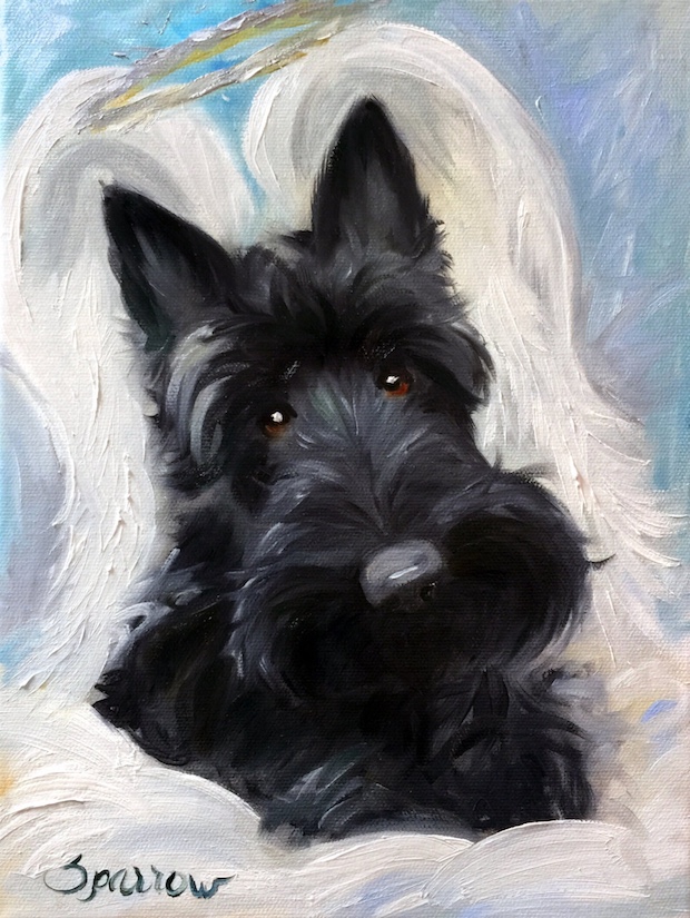 Scottish Terrier, gait, structure