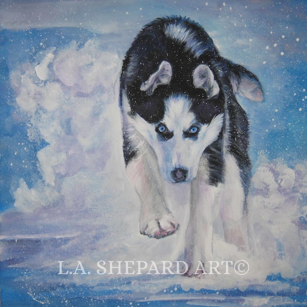 terms, circular chest, chest,