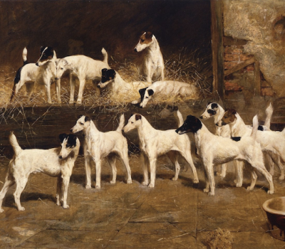 Fox Terrier, terms, small compass, J. H. Murchison, Rawdon B. Lee