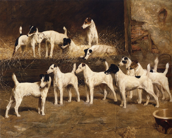 Fox Terrier, terms, small compass, J. H. Murchison, Rawdon B. Lee