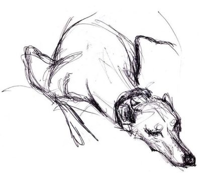 sighthounds, Dr. Richard Meen 9 characteristics