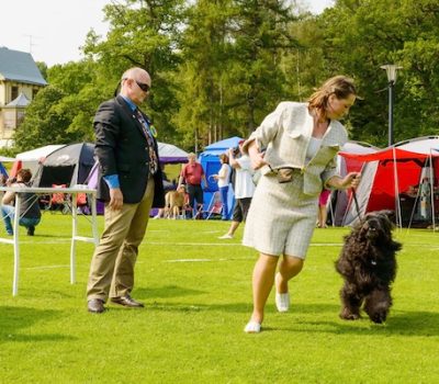 expression, They Should Move As They Stand,