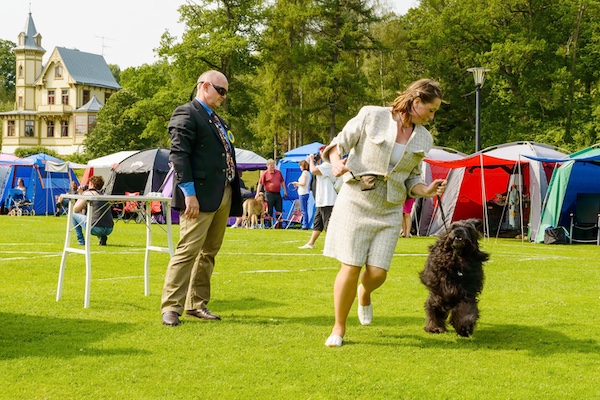 expression, They Should Move As They Stand,