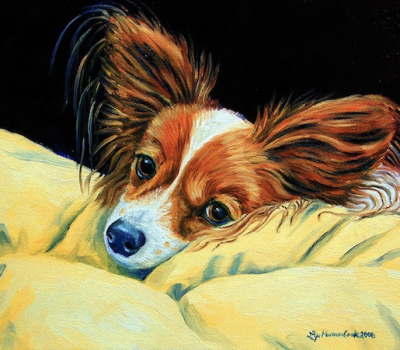 Danish–Swedish Farmdog, Papillon, history, Albert Léon Marie Houtart