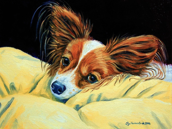 Danish–Swedish Farmdog, Papillon, history, Albert Léon Marie Houtart