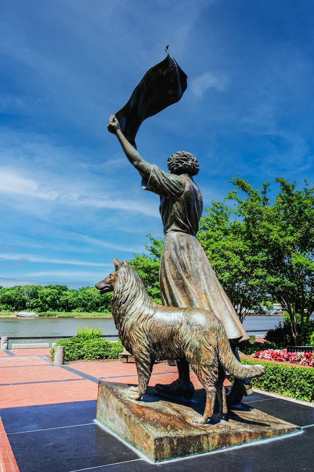 Florence Martus, Waving Girl, Rough Collie, Rex, Waving Girl Statue, Felix de Weldon, SS Florence Martus, statue, art, 