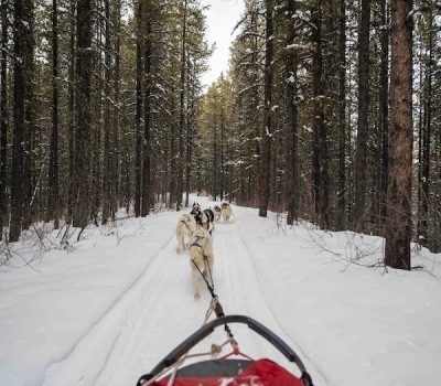 Dog sled racing, mushing, olympics, Émile St. Godard, “Shorty” Russick, Eva “Short” Seeley, Chinook Kennels,Iditarod