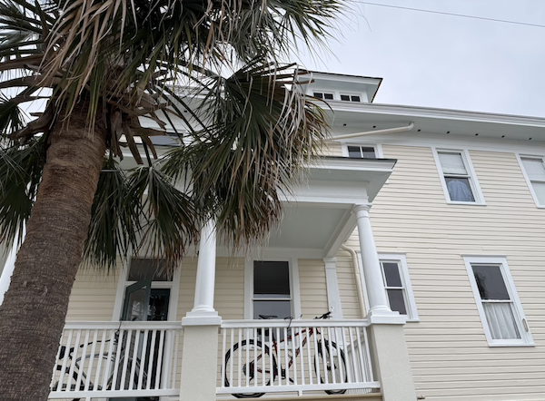  Boykin Spaniel, haint, haint blue, South Carolina,Gullah Geechee, 