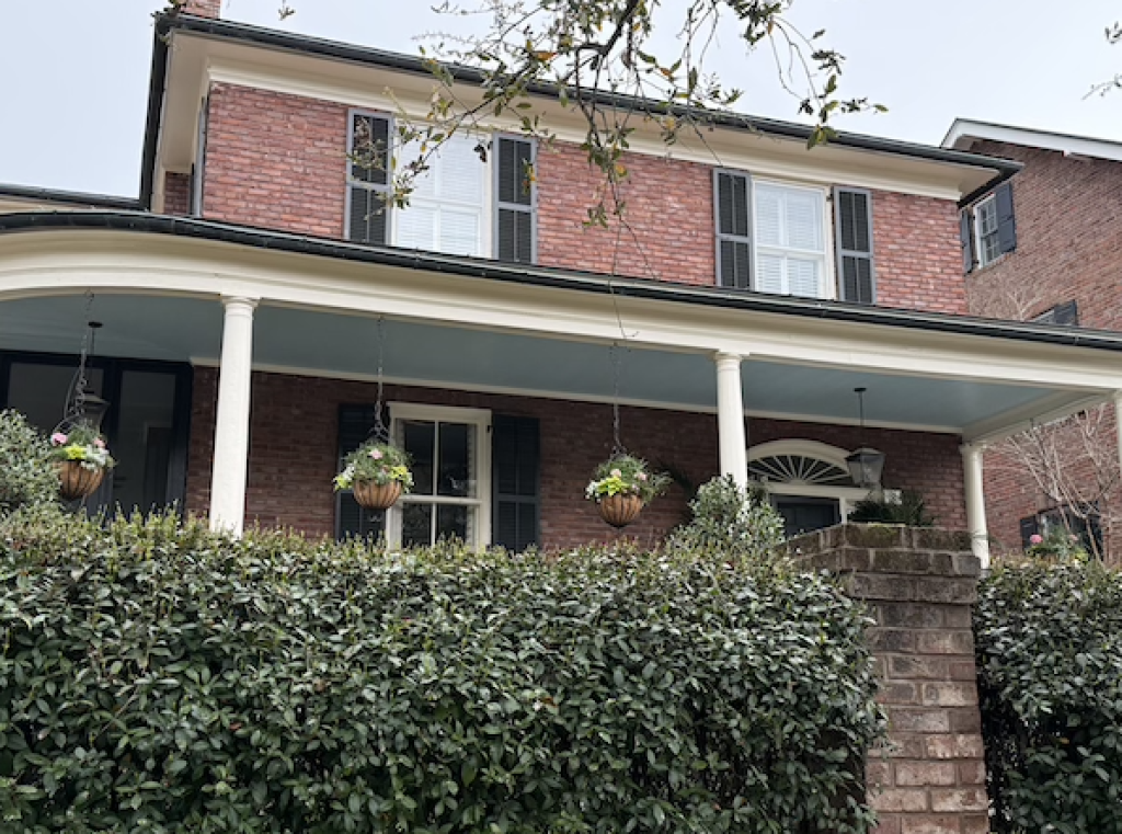  Boykin Spaniel, haint, haint blue, South Carolina,Gullah Geechee, 