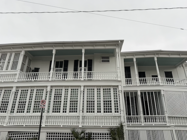  Boykin Spaniel, haint, haint blue, South Carolina,Gullah Geechee, 