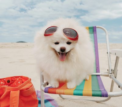 tgif