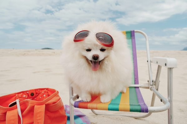 tgif