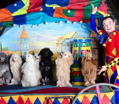 Poodle, Southwark Fair, circus,The Ball of Little Dogs,Rawdon Briggs Lee