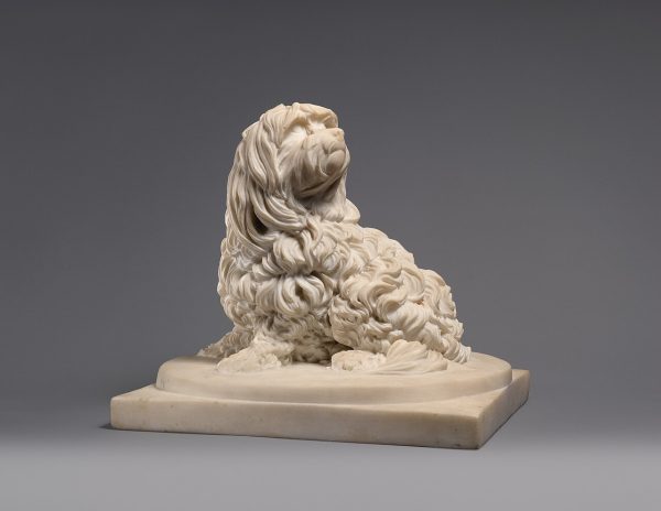 Shock Dog, Maltese, Anne Seymour Damer, art, sculpture, Horace Walpole
