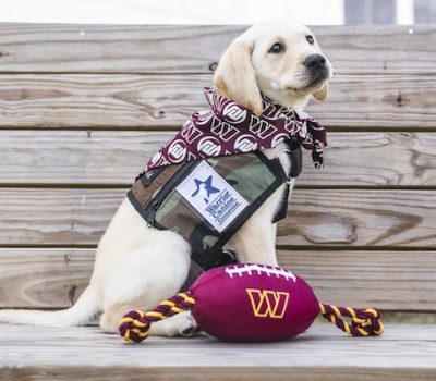 Jeremy White, service dog, Warrior Canine Connection, Washington Commanders, Labrador Retriever, NFL, Warriors helping Warriors
