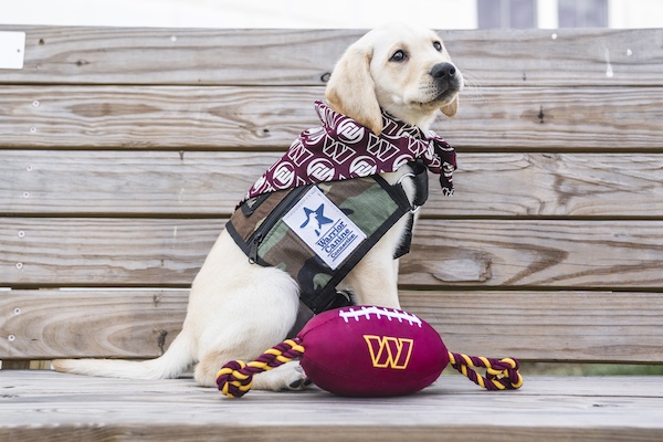 Jeremy White, service dog, Warrior Canine Connection, Washington Commanders, Labrador Retriever, NFL, Warriors helping Warriors