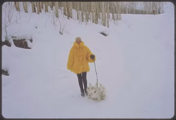 West Highland White Terrier, Westies, Vail, Toni Frissell, Ann Bonfoey Taylor, Vogue, fashion